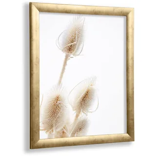 VO Design Bilderrahmen Arne 45 x 60 cm Gold Antik Optik mit entspiegeltem 1 mm Kunstglas - Farbe und Größe frei wählbar
