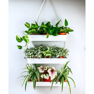 LáLáGreen Hängender Wand-Pflanzgefäß, 40,6 cm, dreistöckig, Pflanzenhänger für Sukkulenten, Innenbereich, Kräuter, Pflanzgefäß, modern, weiß, Boho, Metall, Wandpflanzenhalter, Dekoration, vertikaler