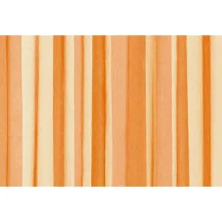 homestyle4you Gardinen Organza mit Schlaufen Voile transparent leicht 140x245 Dekoschal Deko (orange)