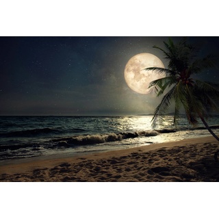 PAPERMOON Fototapete "STRAND-NATUR PALMEN MEER DÜNEN MOND PALME LANDSCHAFT" Tapeten Gr. B/L: 2,00 m x 1,49 m, Bahnen: 4 St., bunt Fototapeten