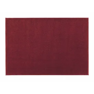 Astra Teppich Samoa D.001 C.010 rot 160x230 cm)