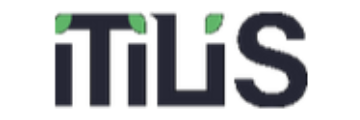 itilis.de - Logo