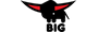 BIG Shoplogo