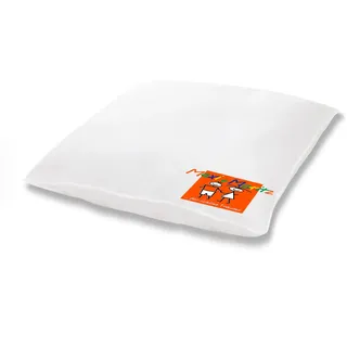 HANSKRUCHEN® Maxi und Moritz Kinderwagenkissen 80x80 cm - Made in Germany Babydecke für Kinderwagen aus 100% Baumwolle - 90% Daunen / 10% Federn - Allergiker geeignet