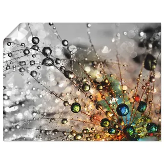 Wandbild ARTLAND "Farbenfrohe Natur", bunt (farbe bild(er): bunt), B:60cm H:45cm, Bilder, als Alubild, Leinwandbild, Poster in verschied. Größen