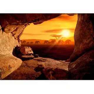 Runa Art Fototapete Afrika Elefanten Modern Vlies Wohnzimmer Schlafzimmer - Made in Germany - 308 x 220 cm Orange 9343010c