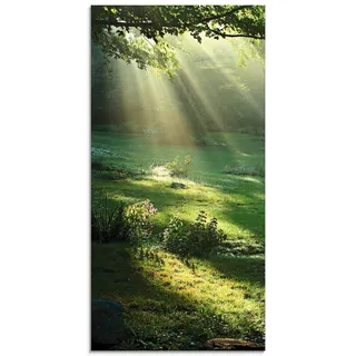 ARTland Wanddeko Glasbilder Wandbild Glas Bild einteilig 50x100 cm Hochformat Natur Landschaft Wald Sonne Sommer Wiese Blätter Baum T5XX