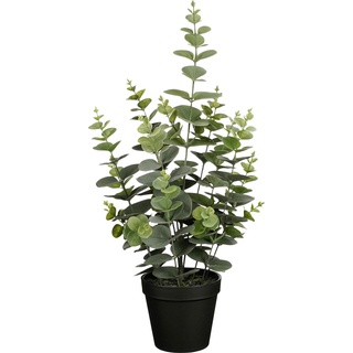 Mica Kunstpflanze Eukalyptus grün im Topf Ø 23 x 53 cm