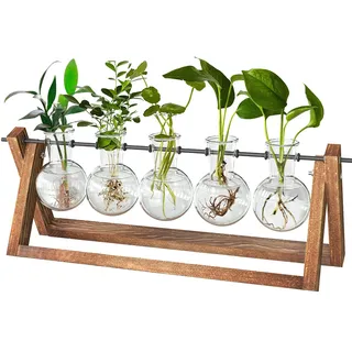 Blumenvase Vintage Kleine Vasen Für Tischdeko Modern Pflanzen Terrarium Glas Mit Ständer Holz Deko Vase Reagenzgläser Vermehrungsstation