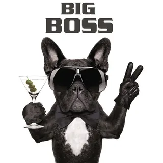 Leinwandbild BÖNNINGHOFF "Wandbild HUND BIG BOSS 46x61 cm – Leinwandbild Keilrahmen Deko modern", schwarz (farbe bild(er): schwarz, weiß), B:46cm H:61cm T:2cm, Canvas, MDF, Bilder, Leinwandbild, auf Keilrahmen gespannt
