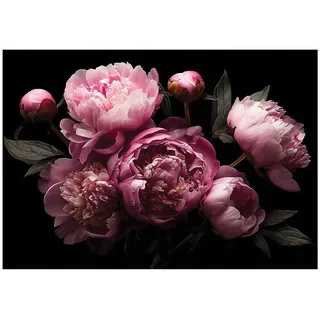 WallArena Fototapete Blumen Pfingstrosen Rosa, 200x140 cm,