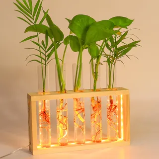 Blumenvasen Wand hängende Pflanze Vase mit hölzernen Stand Wandbehang Glas Pflanzgefäße Glas Pflanzer Reagenzgläser Vase für Stecklinge Knospen hydroponische Pflanzen Home Office Decor (Holzfarbe)