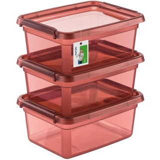 PAFEN 3X Aufbewahrungsbox mit Deckel 12,5L - 38 x 28,5 x 16 cm - Boxen Aufbewahrung Stapelboxen mit Verschlussclips Kunststoffbehälter Kleiderboxen Transparent Organizer | Rosa