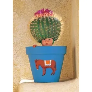 Schmidt Spiele - Anne Geddes, Kaktuskind, 1000 Teile Puzzle