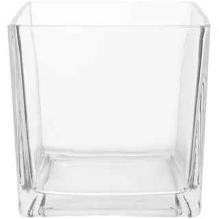 MAGICLULU Glasvase Langlebig und Stilvoll aus Dickem Glas Quadratische Moderne Transparente Blumenvase Stabile Eckige Würfelvase für Hydroponik für Balkon und Schlafzimmer