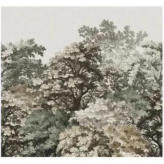 Xora Fototapete, Taupe, Kunststoff, Papier, Bäume, 300x280 cm, Fsc, Bsci, Made in EU, Tapeten & Wandverkleidungen, Fototapeten