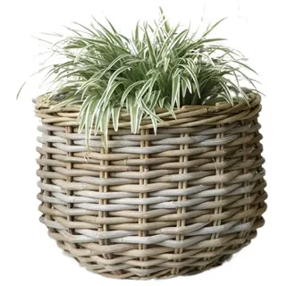 LebensWohnArt Dekokorb Pflanzkorb BÜSUM Natural Grey ca.40cm Natur-Rattan Korb Übertopf