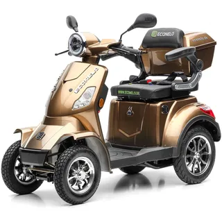 ECONELO P4000 Lithium-Akku Braun