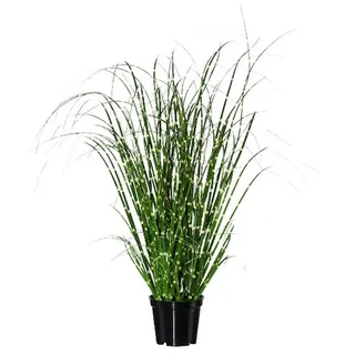 Gasper Künstliche Zimmerpflanze Gras, Gasper, Höhe 42 cm, Farbe: Grün, Höhe: 42cm grün