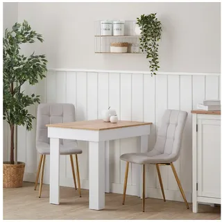 Homestyle4u Polsterstuhl Samt Grau 2er Set