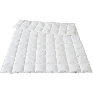 Traumina Plume Bio Daune Einziehdecke WK2