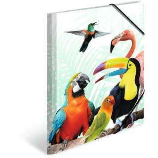 Herma Sammelmappe Tiere A3 tropenclique
