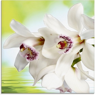 Artland Glasbild Weiße Orchidee, Blumen (1 St), in verschiedenen Größen weiß 20 cm x 20 cm