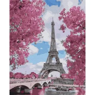 Artnapi Malen nach Zahlen Erwachsene mit Rahmen | DIY Handgemalt | Magnolien in Paris | Kit für Anfänger und Erwachsene | Set inklusive Acrylfarben & Pinsel | 40x50cm Leinwand | Ideal als Geschenk