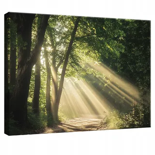 WallArena Leinwandbild Wald Natur Modern Wohnzimmer 120x80