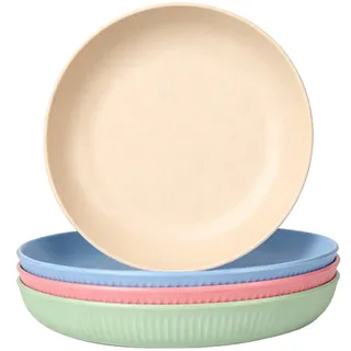 4er-Set Essteller, 20 cm große wiederverwendbare Kunststoffteller, unzerbrechliche Picknickteller, spülmaschinen- und mikrowellengeeignet, leichte Salatteller für Camping/Küche