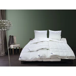 Daunenbettdecke BILLERBECK "Eliana 90, Bettdecken für den Winter" Gr. B/L: 200 cm x 200 cm, warm, weiß Winterbettdecke