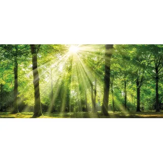 Bönninghoff Wald Leinwand 200x90 cm