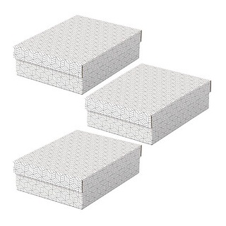 3 Esselte Home Aufbewahrungsboxen 8,0 l weiß 26,5 x 36,0 x 10,0 cm