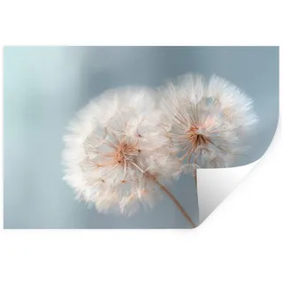 MuchoWow Wandsticker Pusteblumen - Flauschig - Weiß (1 St), Wanddeko, Aufkleber, Wandtattoo, 120x80 cm 120 cm x 80 cm x 0.1 cm