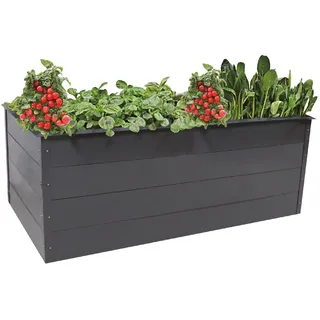 Trendline Hochbeet Stahl 200 x 100 x 76 cm Lech