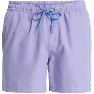 QUIKSILVER Everyday Solid Volley 15 Badeshorts Daybreak L