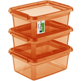 PAFEN 3X Aufbewahrungsbox mit Deckel 12,5L - 38 x 28,5 x 16 cm - Boxen Aufbewahrung Stapelboxen mit Verschlussclips Kunststoffbehälter Kleiderboxen Transparent Organizer | Orange