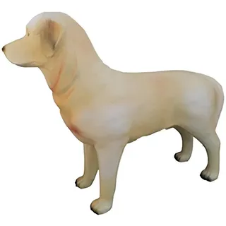 Xlmoebel Tierfigur Hund Statue Garten Figur 75cm Lebensgroß Plastik, Made in Europa beige