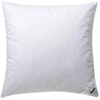 Billerbeck Kopfkissen | Gabriela 30 | Daunenkissen | 70 x 90 cm | für Allergiker | Stützkraft weich | waschbar bis 60°C