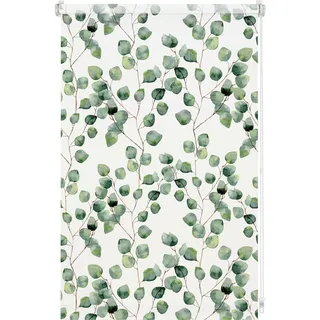 GARDINIA Rollo Isabella 80 x 150 cm lichtdurchlässig