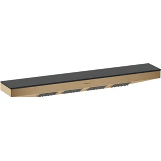 Hansgrohe Rainfinity BK 502x80mm, m Duschablage, brush. bron