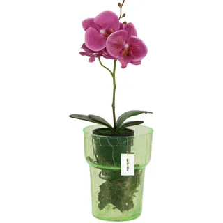Blumentopf Blumenübertopf Glas, für Orchideen Orchideentopf D 15,5cm H 18cm Grün