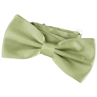 DonDon Fliege DonDon Edle Herren Fliege Schleife glänzend (Packung, 1-St) bereits gebunden, verstellbar, Seidenlook grün