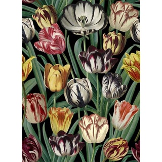 Blumentapete Tulipa von MINDTHEGAP - WP20178