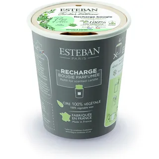 Aloe Blume Nachfüller für Duftkerze 180g