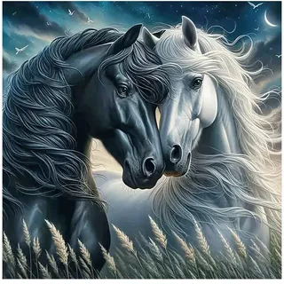DCIDBEI DIY Diamond Painting Pferde 40x40cm Malen nach Zahlen Pferde 5D Diamant Malerei Kits Diamant Painting Bilder Pferd Aufkleber Diamond Painting Pferd Schwarz Weiß Stickbilder Horses Tiere