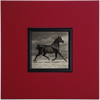 ERGO-PAUL ErgoPaul Mini Papier (Poster) „Schwarzes Pferd, Holz und weißem Eco-Leder, ohne Glas, 40x40x1.5 cm Kunstdruck mit Rahmen, Öko, Rot, One Size