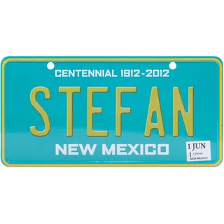 USA Staatskennzeichen mit Namen. Namensschild aus Aluminium. Wandschild, Tafel, Türschild. US-Kennzeichen. Schild mit Saugnäpfen. (STEFAN)