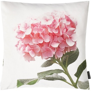 Proflax Kissenhülle 7230 - Fotodigitaldruck Hortensie, 40 x 40 cm, weiß/Blossom, Fotodruck auf 100% Baumwolle