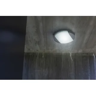 LED Außen-Deckenleuchte LUTEC "SWEEP" Lampen Gr. Ø 26 cm Höhe: 5,5 cm, grau (anthrazit) LED Außendeckenleuchten Kelvinschalter,Lichtfarbe einstellbar